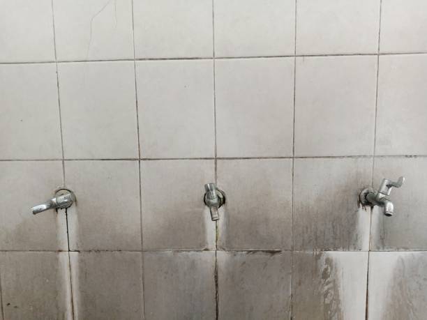 Best Carpet water damage restoration  in Orange Beach, AL